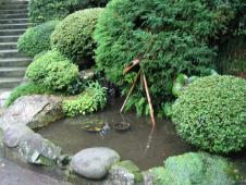 gal/Autour de Tokyo/Kamakura/_thb_105_0524.jpg